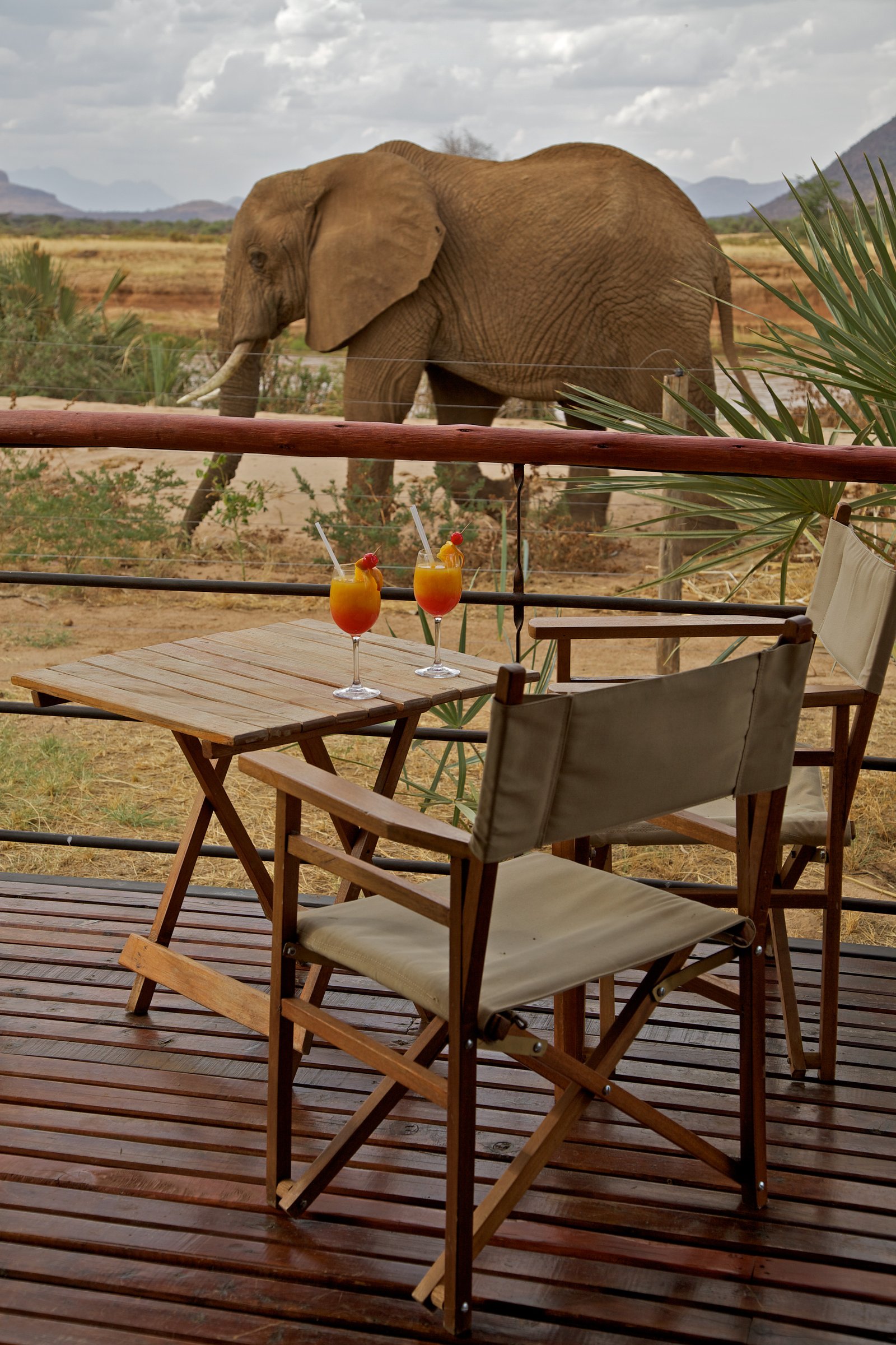 Ashnil Samburu Camp